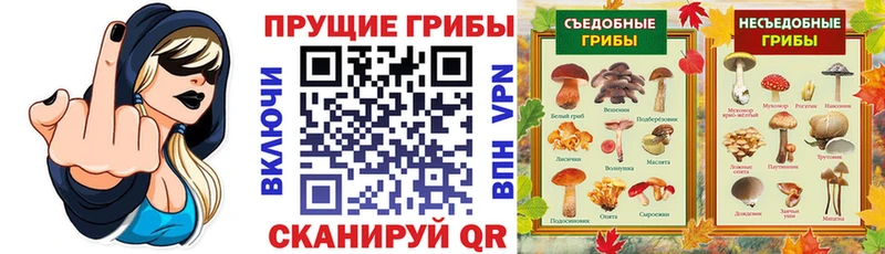 Псилоцибиновые грибы мухоморы  где найти   Гаврилов Посад 